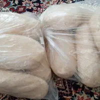 فروش تلف تازه