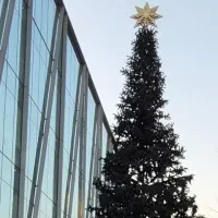 سیم کارت رند