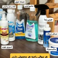 محصولات نانوسان|مواد شوینده و دستمال کاغذی|کرمان, |دیوار