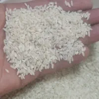 برنج چمپا فلارد|خوردنی و آشامیدنی|فلارد, |دیوار