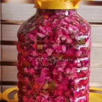 ترشی کلم|حراج|لنگرود, |دیوار