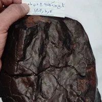 شهاب سنگ واقعی وزن ۵۵۳۶ گرم شناسنامه خوارزمی دارد