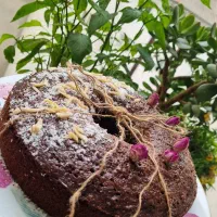 کیک و پودر کیک های خانگی سالم و بدون موادنگهدارنده|خدمات پذیرایی، مراسم|رشت, دروازه لاکان|دیوار