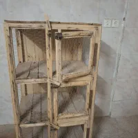 جفت کن کببوتر