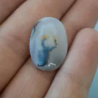 شجر قائن طرح عقرب