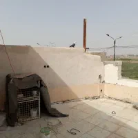 ۵عددسرسفیدنر کلاهی.کربلای