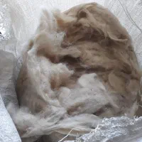 پشم گوسفندی درجه ۱ مناسب تشک ولحاف