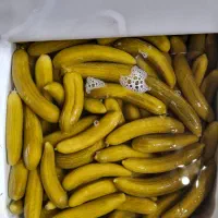 خیار شور حلب