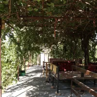 اجاره روزانه هفتگی ویلا باغ ( مزرعه باغ آهو) کهک|اجارهٔ کوتاهمدت ویلا و باغ|قم, قلعه یزدیها|دیوار