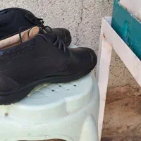 فروش کفش سایز ۳۸|کیف، کفش، کمربند|شیراز, لاله|دیوار