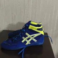 کفش و دوبنده کشتی