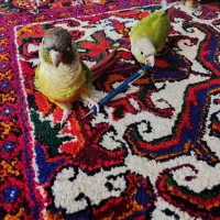 گیرینچیک های دستی