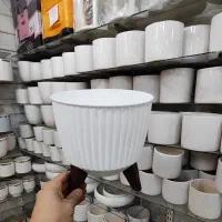 گلدان پایه دار سفید پلاستیکی پایه استند گلدان شفلر|گل و گیاه طبیعی|قم, ولیعصر|دیوار