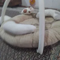 تشک بازی|اسباب و اثاث بچه|یاسوج, |دیوار