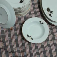 ظروف چینی زرین