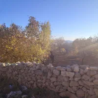 800 متر کشه نطنز