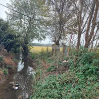 خانه و باغ ۱۴۰۰۰هزارمتر بحرجاده روستا مردابن رودسر|فروش زمین و ملک کلنگی|رودسر, |دیوار