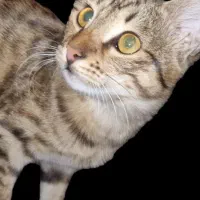 گم شده در صورت پیدا شدن بزنگید