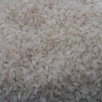 برنج کامفیروزی درجه یک و خرده برنج