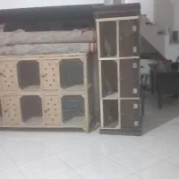 قفس جفتگاه کفتر