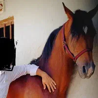 پانسیون و نگهداری اسب