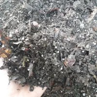 خاک برگ|گل و گیاه طبیعی|گنبد کاووس, |دیوار