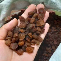 کشمش تازه بدون دم|خوردنی و آشامیدنی|قوچان, |دیوار