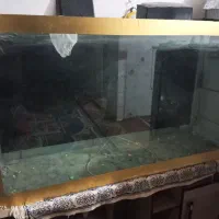 اکواریوم بزرگ|ماهی|شیراز, شیخ علی چوپان|دیوار