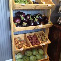 جا سیب پیازی|ظروف نگهدارنده، پلاستیکی، یک‌بارمصرف|شیراز, تندگویان|دیوار