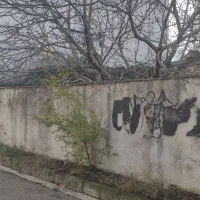 فروش خانه ویلایی در شهرک عباس آباد