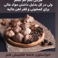 سیر سیاه مشکل گشای بدن|خوردنی و آشامیدنی|شیراز, شهرک سراج‎|دیوار