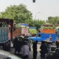 اجاره حجره تره بار مرکزی تهران  فاز 2سالن 10 پ 27|اجارهٔ مغازه و غرفه|تهران, میدان میوه و تره‌بار مرکزی|دیوار