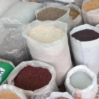 خوراک و لوازم پرندگان