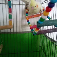 لوازممنزل عروسنر|حراج|قزوین, |دیوار