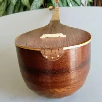 سه تار عطا قدیمی