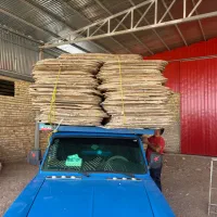 لایه کارتن سالم|عمدهفروشی|کرج, گلشهر|دیوار