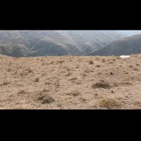 فروش زمین|فروش زمین و ملک کلنگی|طالقان, |دیوار