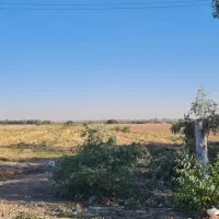 فروش زمین