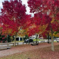 همسفر طبیعت گردی