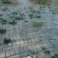 زمین ۲۶۰متر در پنج امام زاده تبادکان معاوضه ماشین|فروش زمین و ملک کلنگی|مشهد, شترک|دیوار