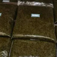 سبزی خورشتی|خوردنی و آشامیدنی|دزفول, |دیوار