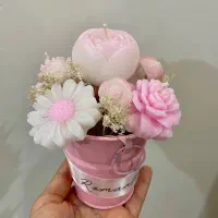 گل شمع صورتی