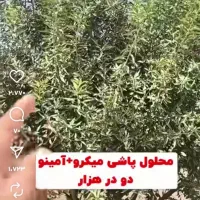 کارگر برای باغ کنی