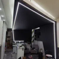 نورخطی و لاین نوری پارس|لامپ و چراغ|مشهد, عبادی|دیوار