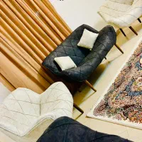 راحتی مدل لگنی چستر