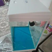 اکورایوم شیشه خم|ماهی|اقبالیه, |دیوار