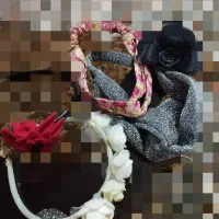 وسایل خانه با پایین ترین قیمت|حراج|شاهین‌شهر, طالقانی|دیوار