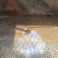 کفسابی ،کف سابی تیام|خدمات نظافت|شوشتر, |دیوار