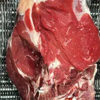 نیاز به نیروی کار