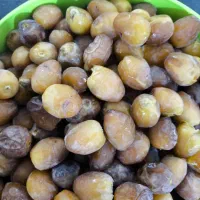 دمیت برحی|گل و گیاه طبیعی|آبپخش, |دیوار